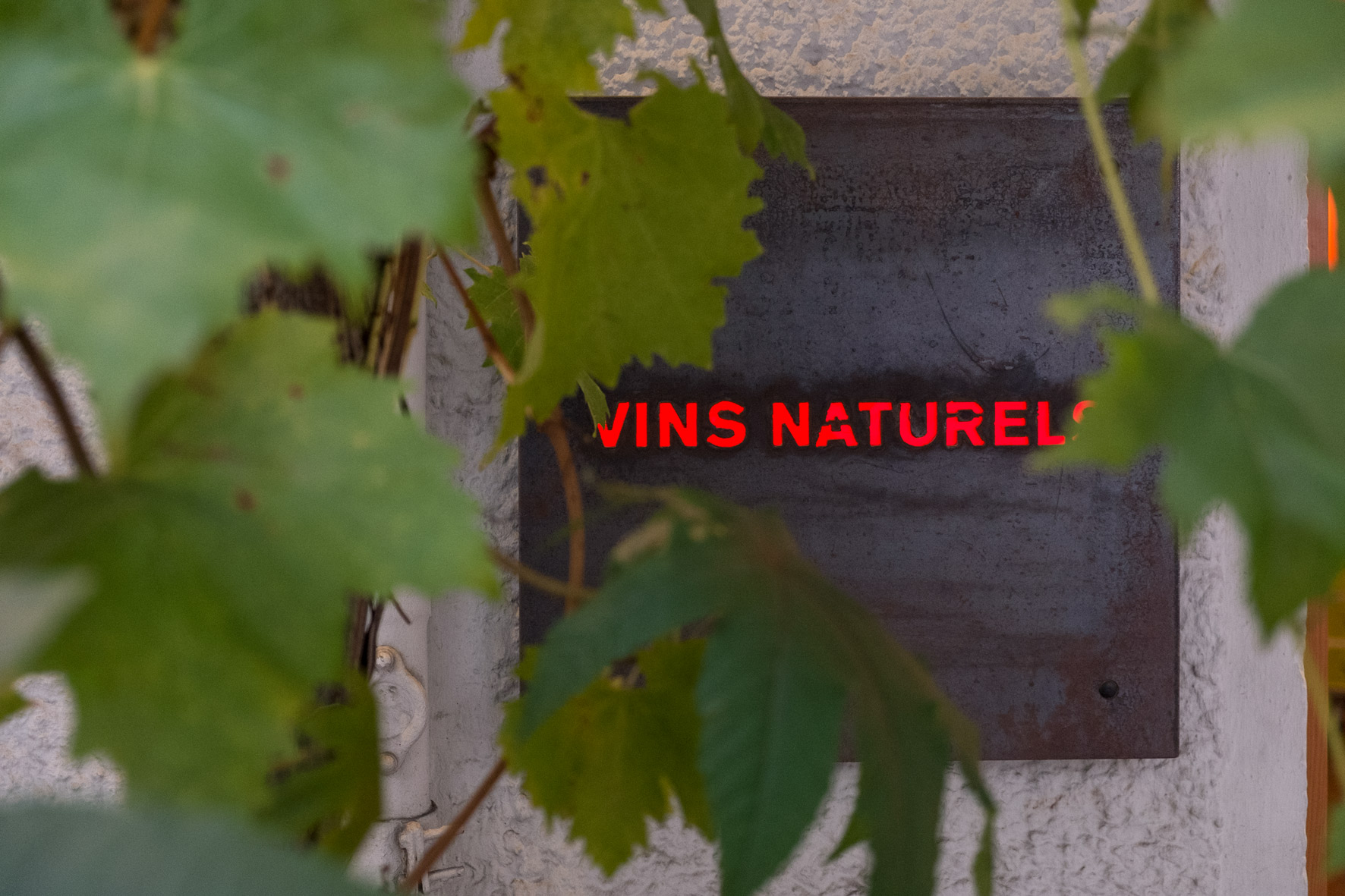 Alternative „Naturweine“