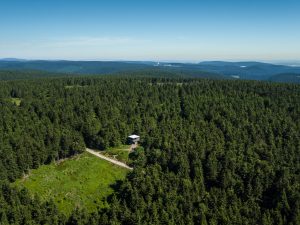 Thüringen – „Der Rennsteig-Spendenlauf“  zur Stimulation des Tourismus in der Region  jetzt als „At-Home-Variante“ 