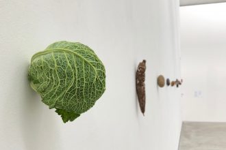 Ausstellung Karin Sander in Tübingen präsentiert von www.schabel-kultur-blog.de
