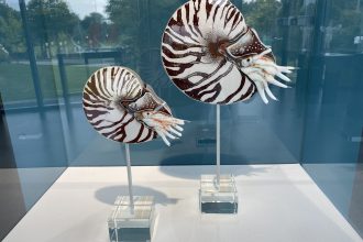 Ausstellung "InterRegionale Glaskunst" in Frauenau präsentiert von www.schabel-kultur-blog.de