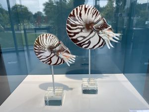 Frauenau – „InterRegionale Glaskunst“ im Glasmuseum