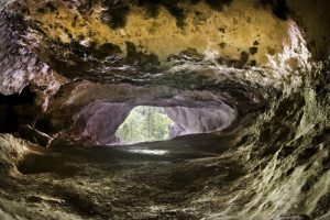 Tirol – „Tischofer Höhle“, „Urtanne“ – Spirituelle Kraftorte