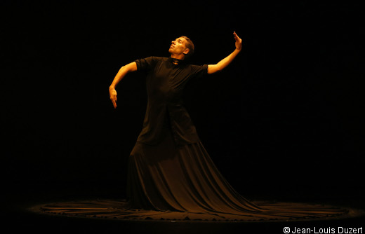 Amsterdamer VIII Flamenco Biennale präsentier von www.schabel-kultur-blog.de