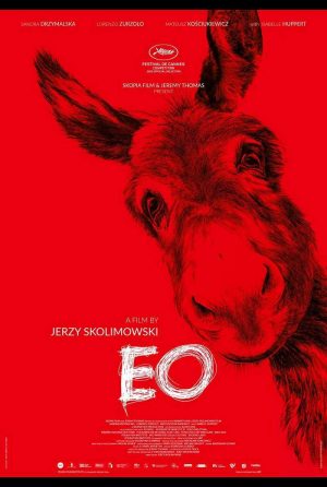 Jerzy Skolimowskis neuer Film „EO“ – die Welt aus der Perspektive eines Esels