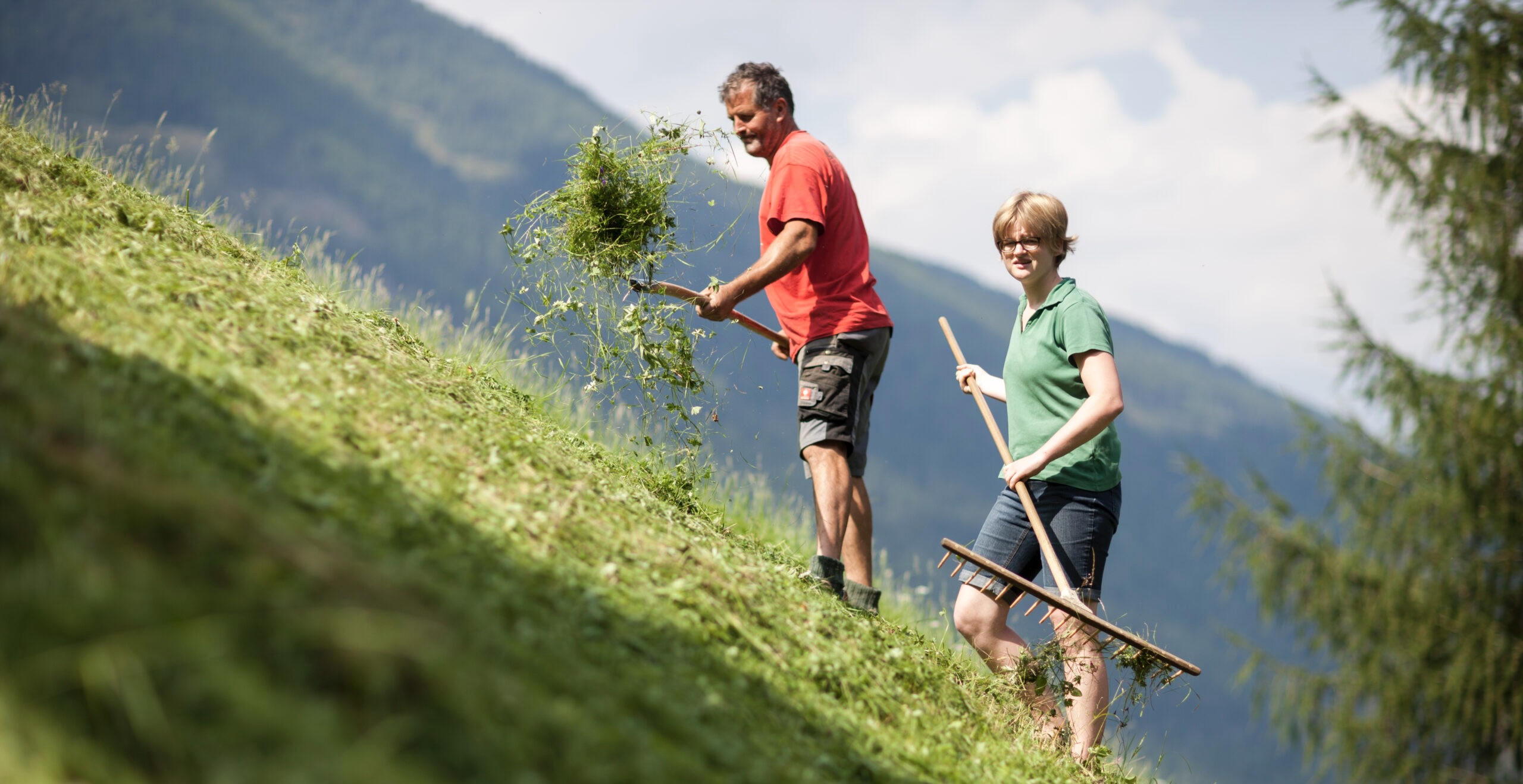 Österreich – „Freiwillig am Bauernhof“ – Urlaub machen und gleichzeitig helfen