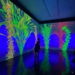Ausstellung "Flowers forever" in Münchner kunsthalle präsentiert von www.schabel-kultur-blog.de