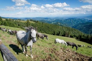 Österreich – „Graz“ präsentiert sich als Erlebnisregion