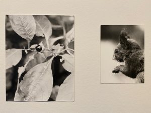 Ausstellung "Jochen Lempert" im C/O präsentiert von www.schabel-kultur-blog.de.