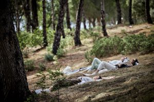 Berlin . „ Shared Landscapes – Sieben Stücke zwischen Wald und Wiese“ – Kunst in freier Natur als synergetische Performance erleben