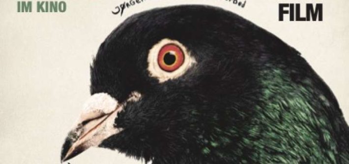 Filmkritik "Music for Black Pigeons" präsentiert von www.schabel-kultur-blog.de