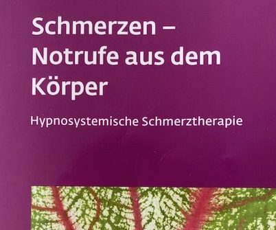 Buchkritik Hanne Seemann "Schmerzen - Notrufe aus dem Körper" präsentiert von www.schabel-kultur-blog.de