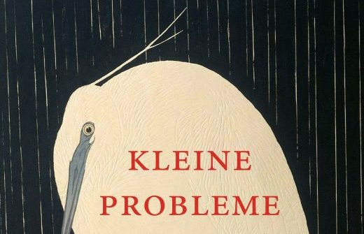 Buchkritik Nele Pollatscheck "KLeine Problem" präsentiert von www.schabel-kultur-blog.de