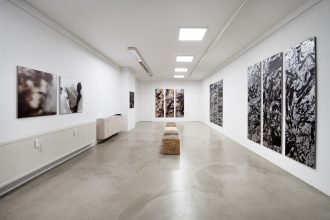 Ausstellung "Schlachtfeld" von Ursula Hentschläger in der Galerie Litvai präsentiert von von www.schabel-kultur-blog.de.