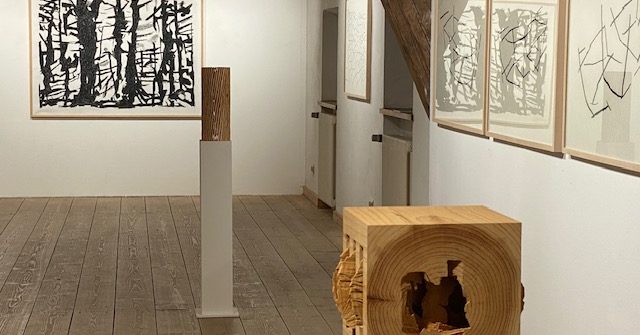 Ausstellung Wurmer und Bachhofer in der Neuen Galerie Landshut präsentiert von www.schabel-kultur-blog.de.