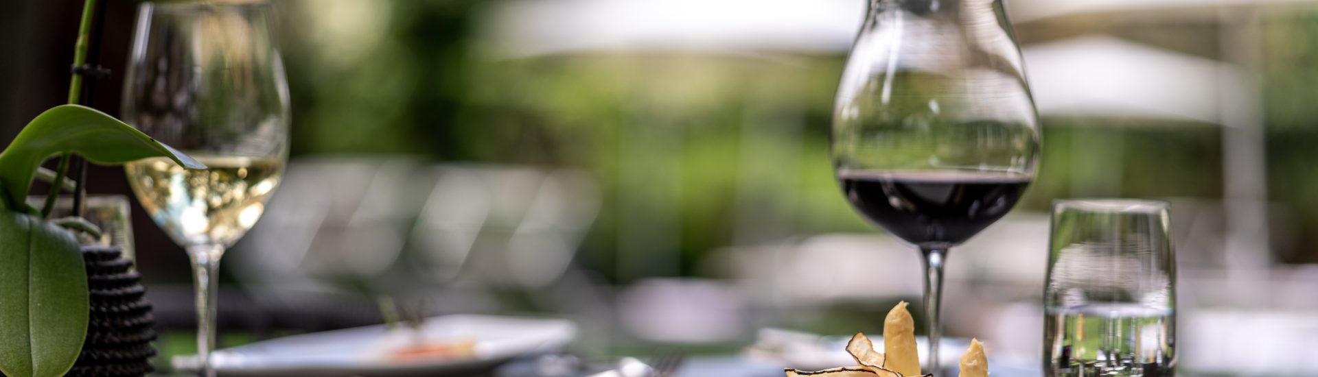 Essen im 5-Sterne-Hotel Mignon Park & Spa präsentiert von www.schabel-kultur-blog.de