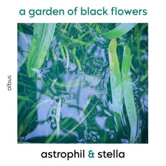 CD – „a garden of black flowers“ – Renaissancelieder poetisch interpretiert von „astrophil & stella“