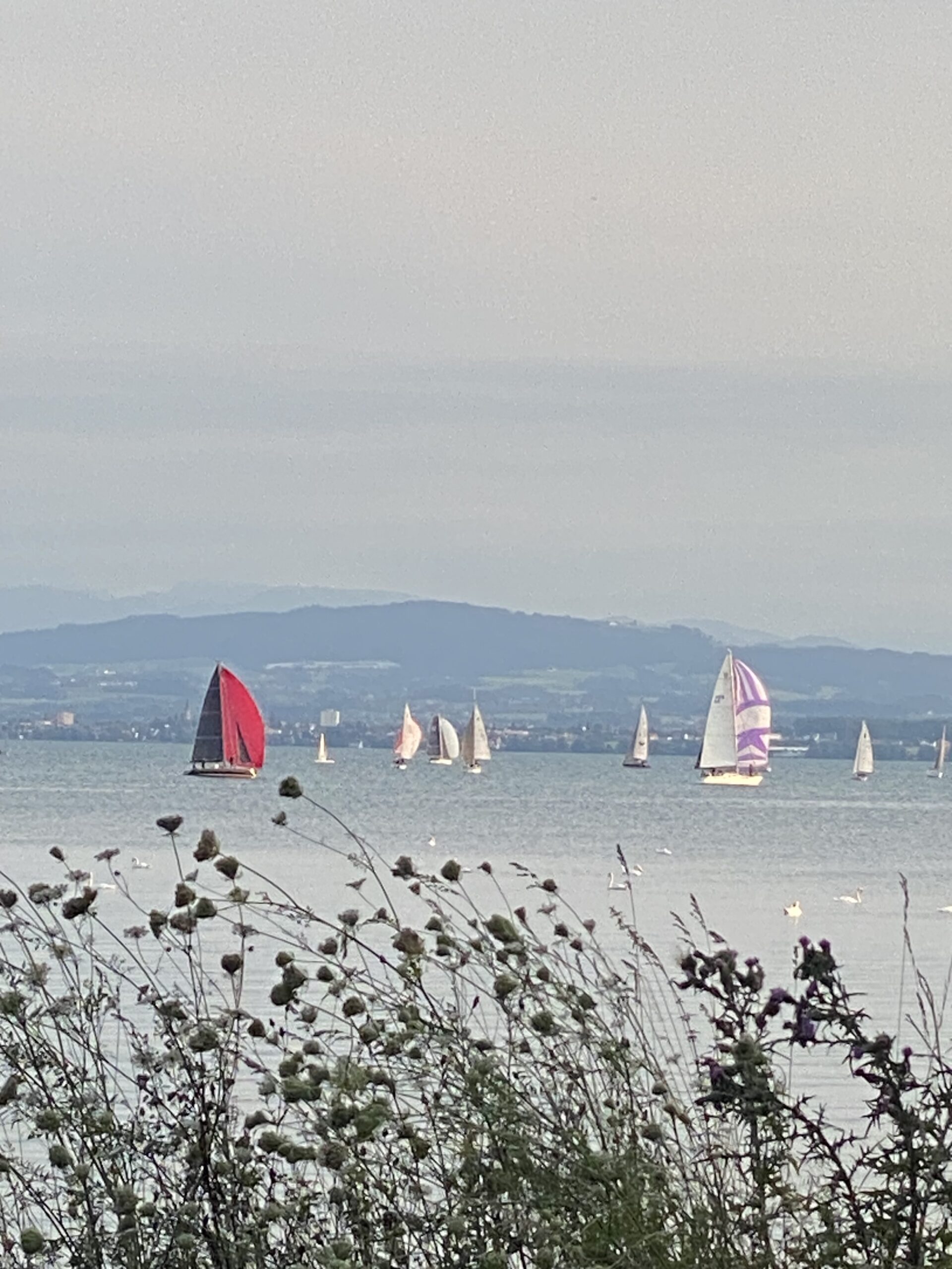 Baden-Württemberg/Bayern/Schweiz – Der Bodensee – einer der schönsten Seen Deutschlands 