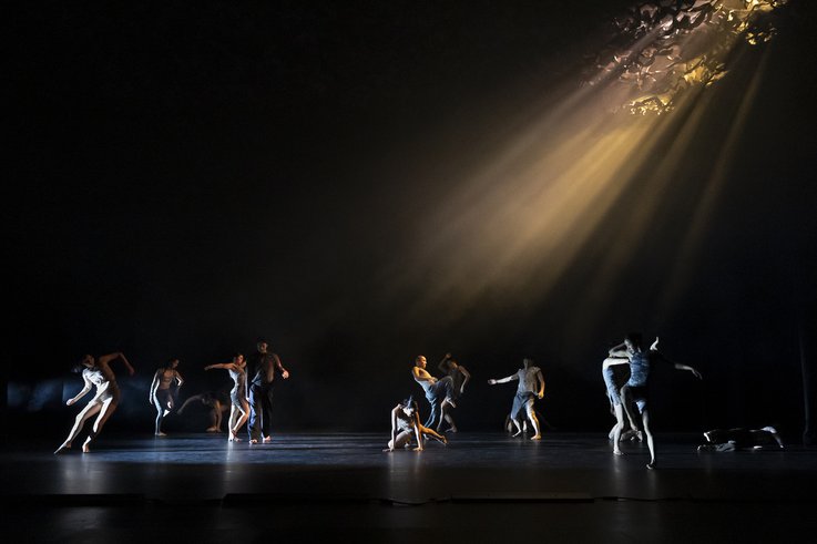 Berlin – Korea National Contemporary Dance Company begeistert mit „Dschungel“ beim Festival „Tanz im August“ 