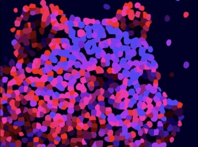 Berlin – ein Bär als Logo der 76. Internationalen Filmfestspiele Berlin