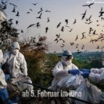 Filmkritik Frei "Blame" präsentiert von www.schabel-kultur-blog.de