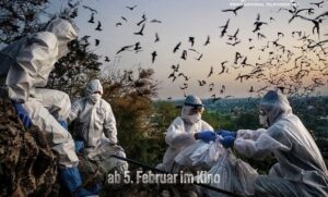 Christian Freis Dokumentarfilm „Blame – Fledermäuse, Politiker und ein Planet aus der Balance“ – Plädoyer für die Wissenschaft“ 