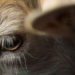 Filmkritik "Stille Beobachter" präsentiert von www.schabel-kultur-blog.de