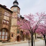 Nordhausen Sehenswürdigkeiten präsentiert von www.schabel-kultur-blog.de