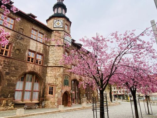 Nordhausen Sehenswürdigkeiten: Altstadt, Doppelkorn und Südharz entdecken