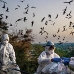 Christian Frei Dokumentarfilm "Blame" über die Corona-Pandemie präsentiert von www.schabel-kultur-blog.de