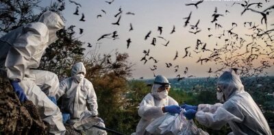 „Blame“ – Corona-Pandemie in China – Filmkritik zu Christian Freis Dokumentarfilm