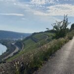 Stein-Wein-Pfad in Würzburg präsentiert von www.schabel-kultur-blog.de