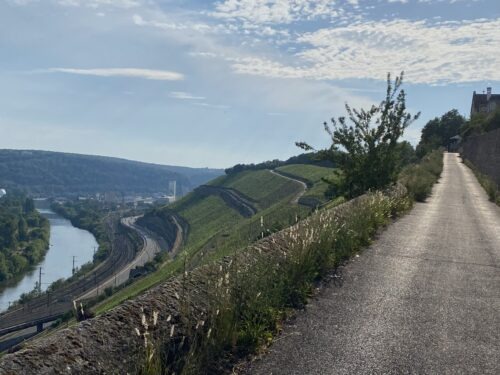 Stein-Wein-Pfad Würzburg – Panoramaweg durch eine der besten Weinlagen Deutschlands 