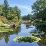 Planten un Blomen in Hamburg - Japanischer Garten Wasserlichtkonzerte und Tipps präsentiert von www.schabel-kultur-blog.de