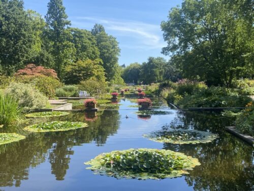 Planten un Blomen Hamburg – Japanischer, Garten, Wasserlichtkonzerte und Tipps